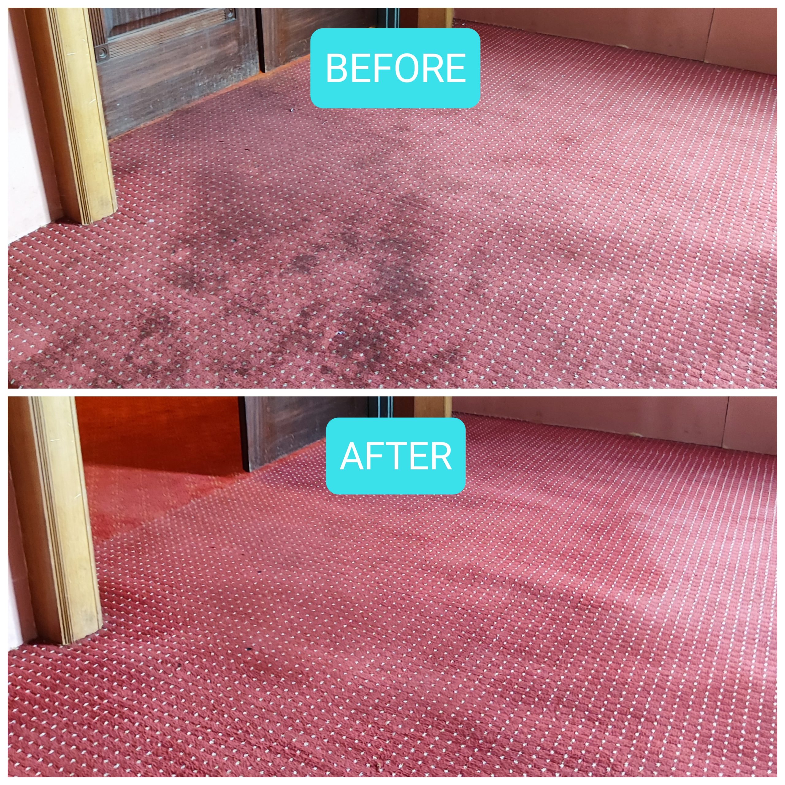 professional carpet cleaning kuala lumpur